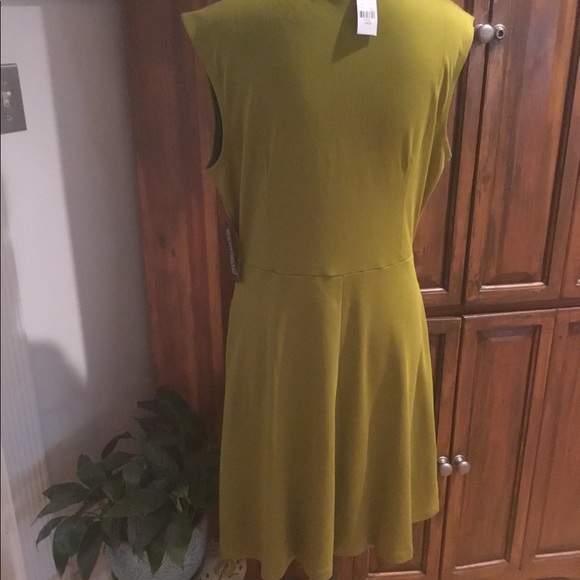 Great stretch dress with zipper front and pockets. - Picture 4 of 4